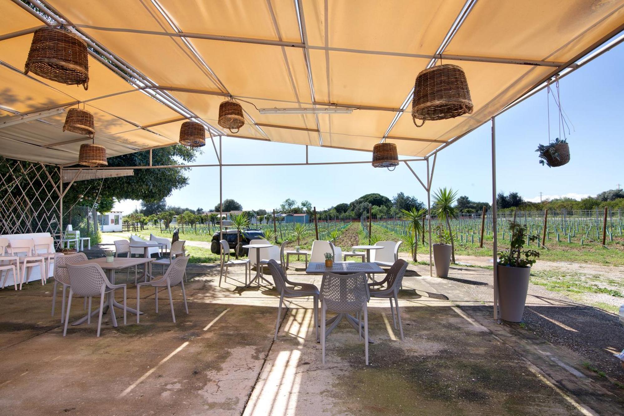 Вилла Casa Lavadeira - Vinhas De Nexe Фару Экстерьер фото